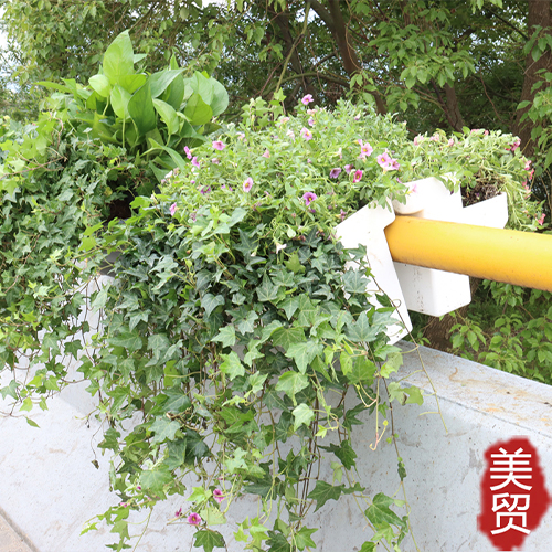 城区道路护栏马鞍式花盆