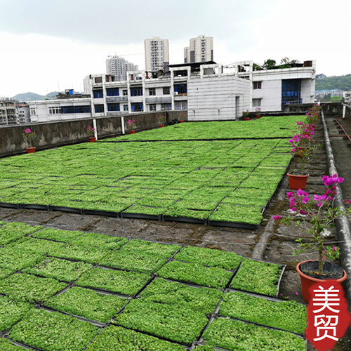 屋顶绿化支架悬挂花盆