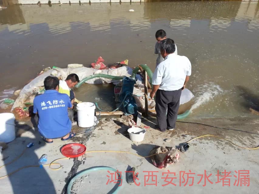 新建电站渗漏水防水处理 地下室渗漏水处理施工合同