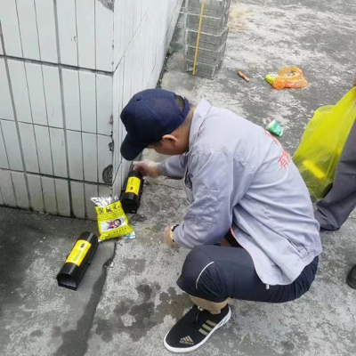 橫瀝酒店滅鼠_百輝有害生物防治_收費真低_服務質量如何管理