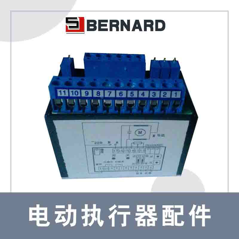 天津廠(chǎng)家銷(xiāo)售伯納德智能控制型模塊SG-I