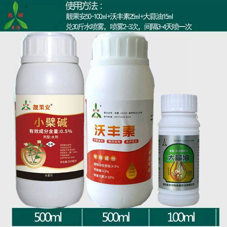 廣南三七根腐病三七種植
