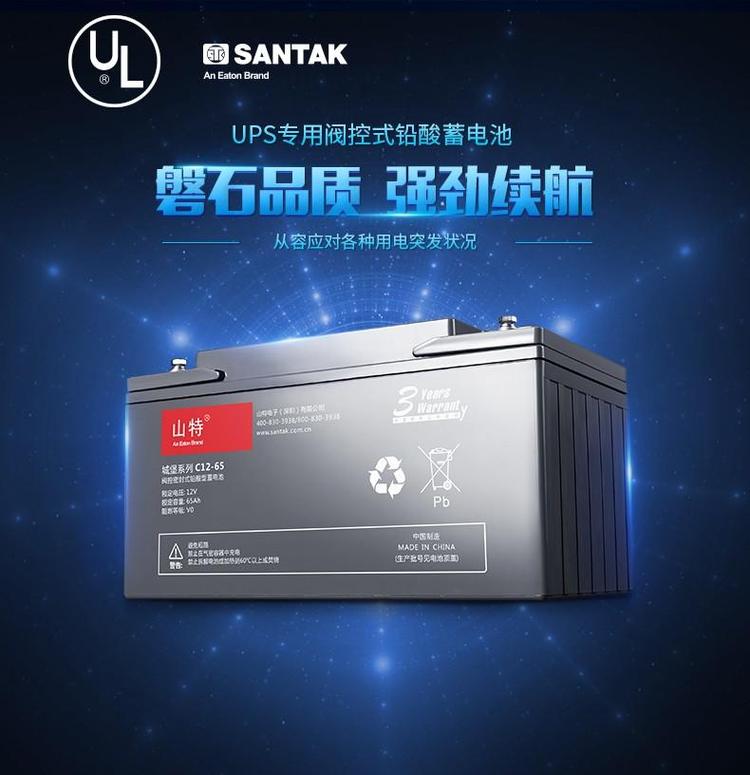 南京山特SANTAK蓄电池12V100AH批发销售