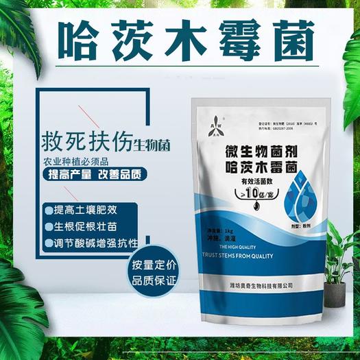 大型合作社辣椒莖基腐病防治技術指導