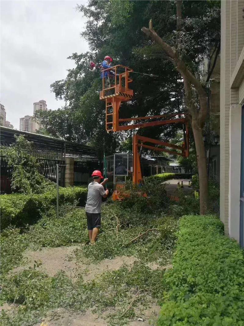 扬州路灯维护折臂式升降机规格