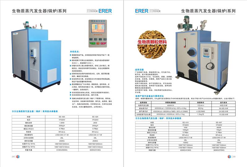 河源生物质蒸汽锅炉