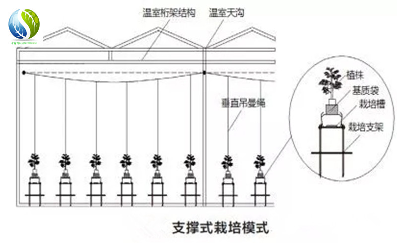 广东悬挂式栽培槽厂家