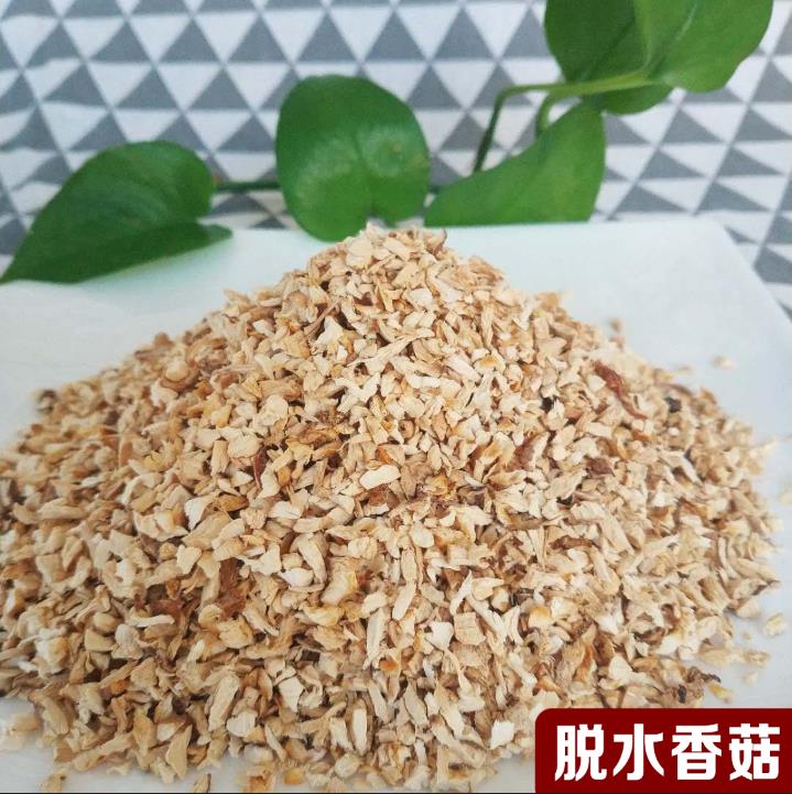 精品椴木菇 香菇 蘑菇 包子餡 餐飲食材