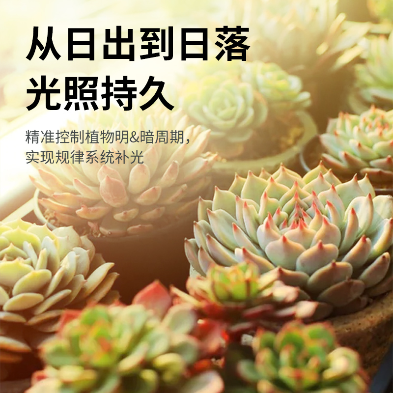 梅州室內植物生長燈報價 品質**