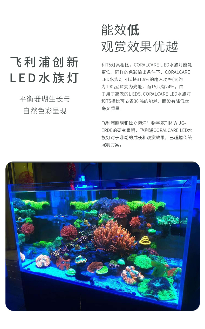 广东led珊瑚灯厂家