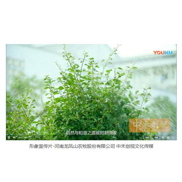 中牟短視頻代運(yùn)營(yíng)公司 中禾創(chuàng)視公司