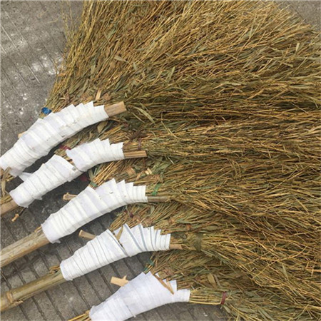 洛陽竹絲掃帚廠家 芒花掃帚 量大從優