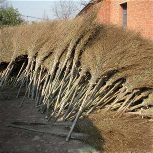 株洲大掃把 經濟實惠