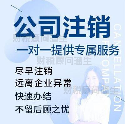 乐从公司注销公司