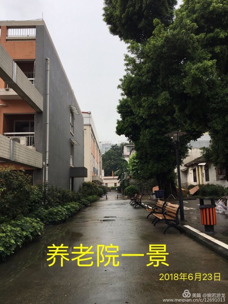 荔灣區(qū)綠化比較好的松鶴養(yǎng)老院價格表