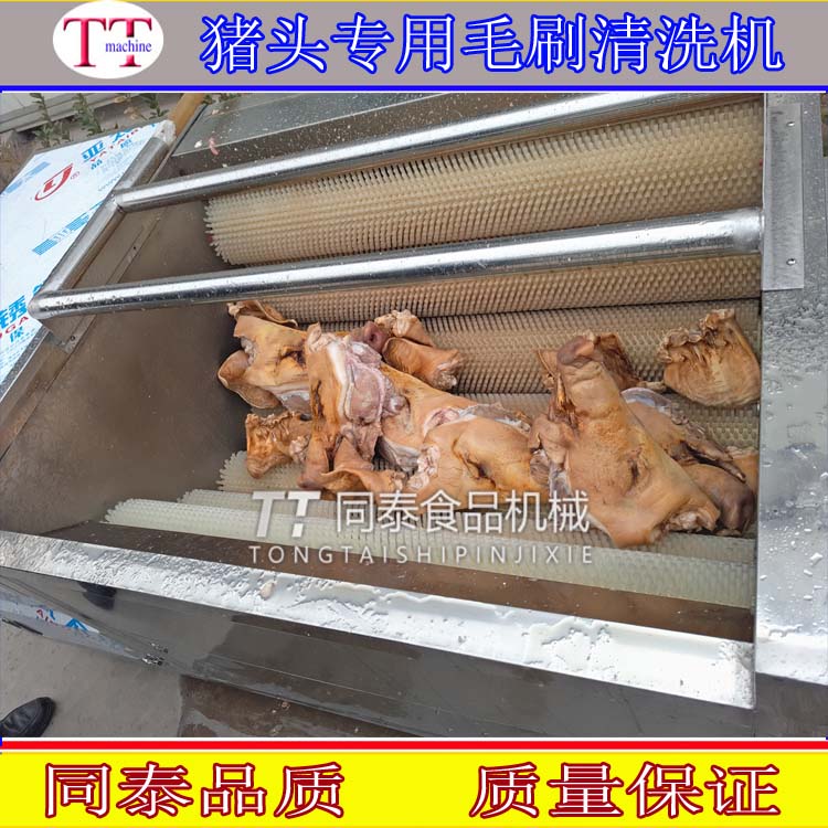不銹鋼毛刷豬頭清洗機 豬蹄豬耳清洗設備