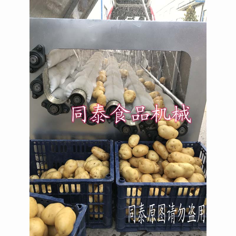 全自動土豆清洗機 螺旋毛刷洗馬鈴薯機器