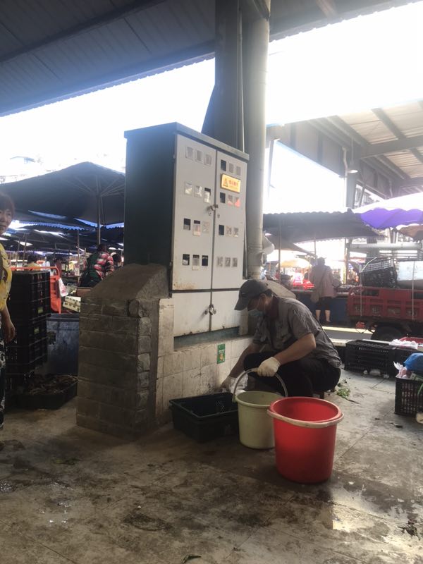 新津工廠除跳蚤方案