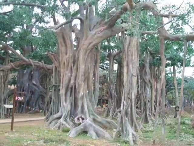 貴陽鑄銅雕塑設計 * 貴州文藝造型景觀雕塑工程供應