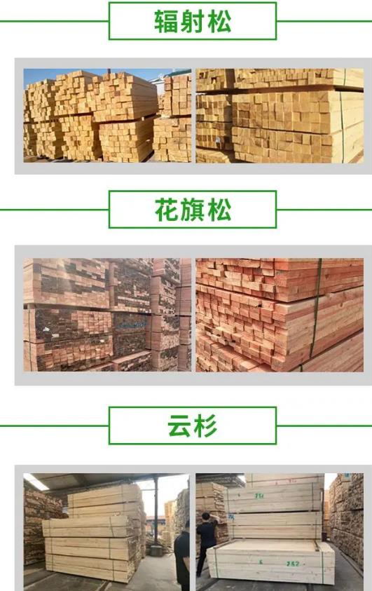 木方价格是批发直销木方建筑用的工地木方厂家