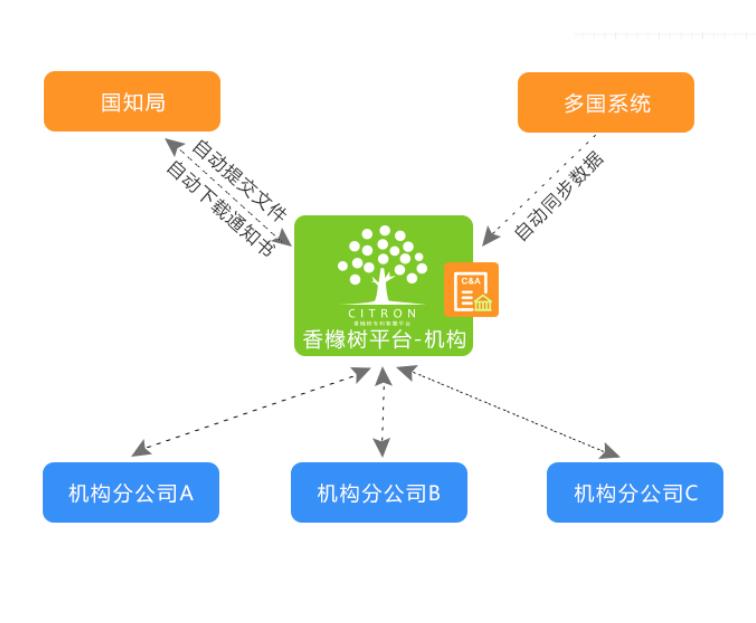 缴**年费费用 苏州香橼树网络科技有限公司