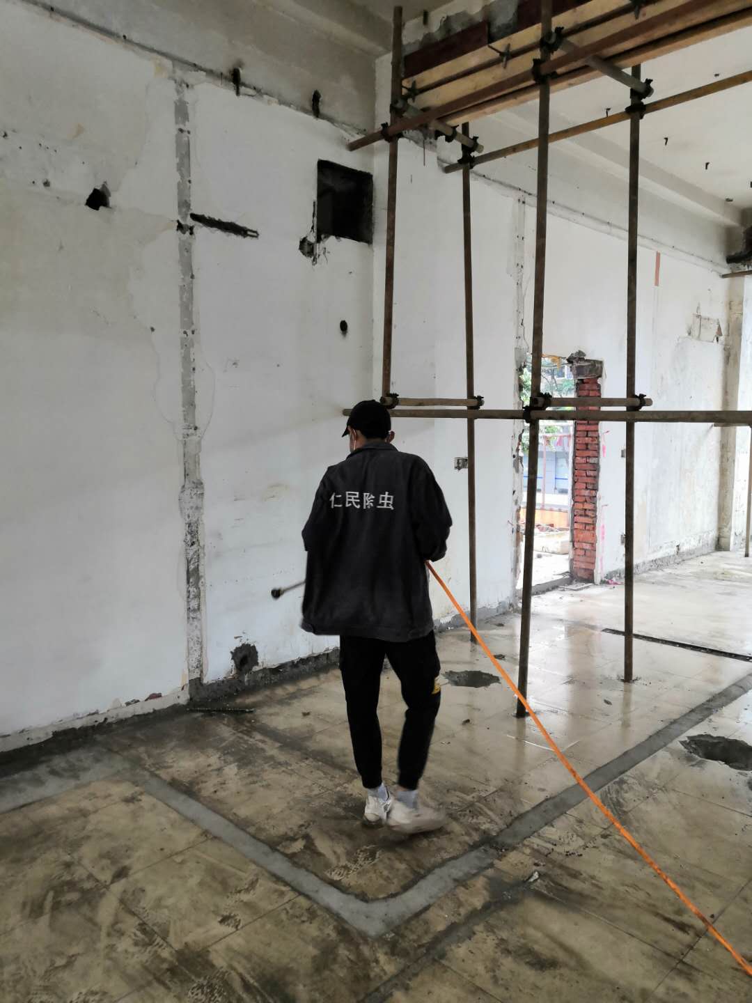 都江堰古建筑灭白蚁电话 上门服务