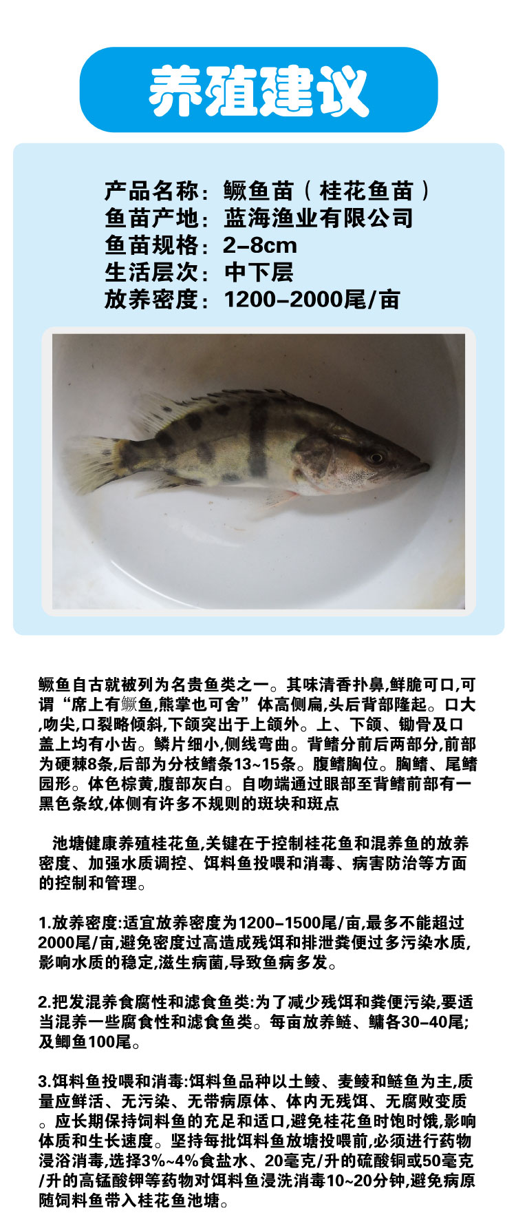 清远翘嘴鳜鱼苗批发价格