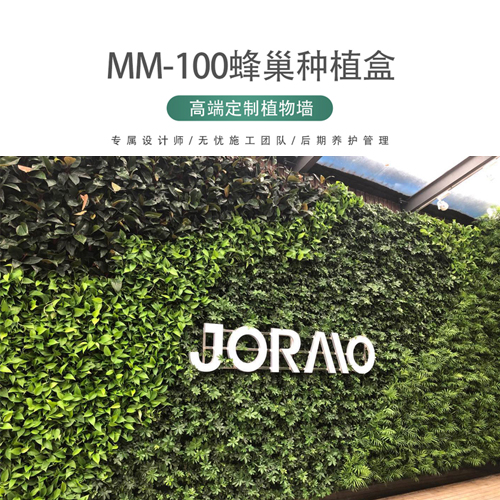 上海植物墻公司 品種齊全