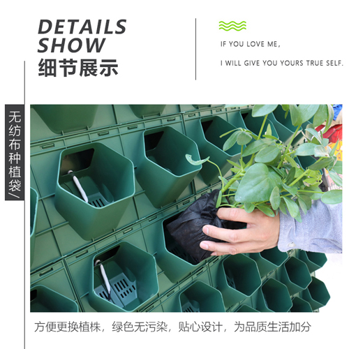 南京植物墙容器定制