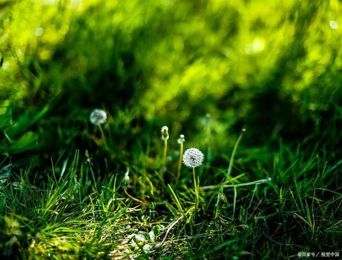 吹塑薄膜生物降解检测