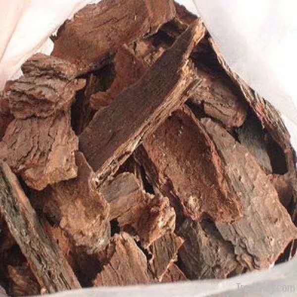 濮陽松樹皮用途-松麟-農業栽培