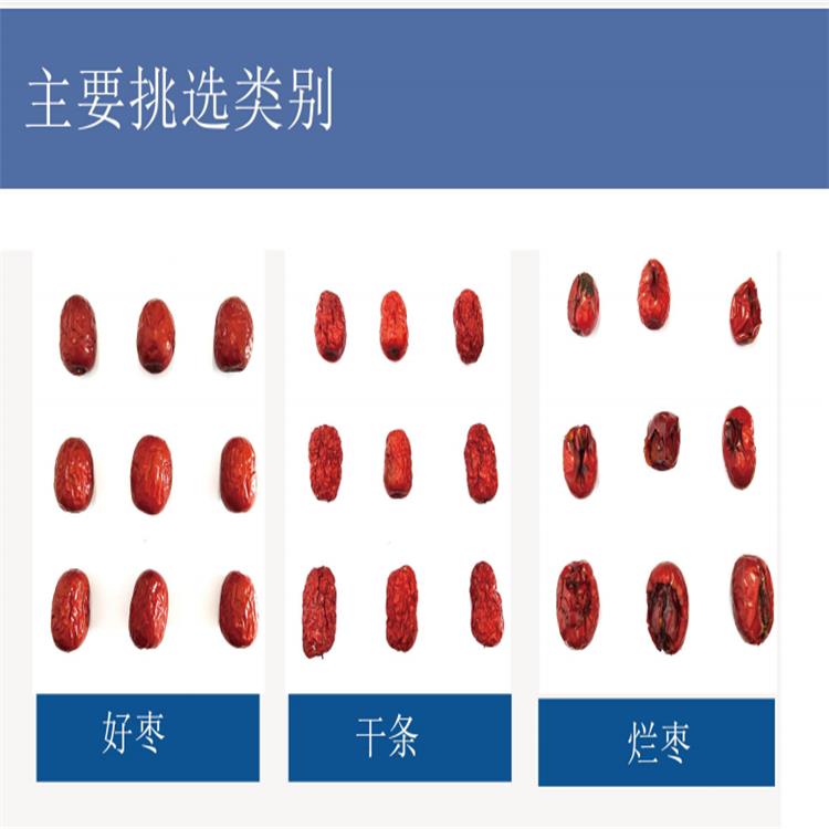 济源水果筛选机