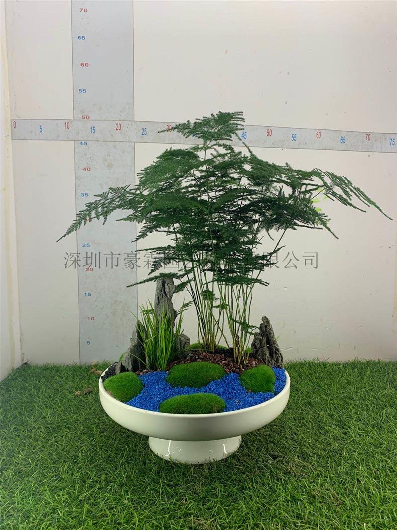 花卉租摆批发