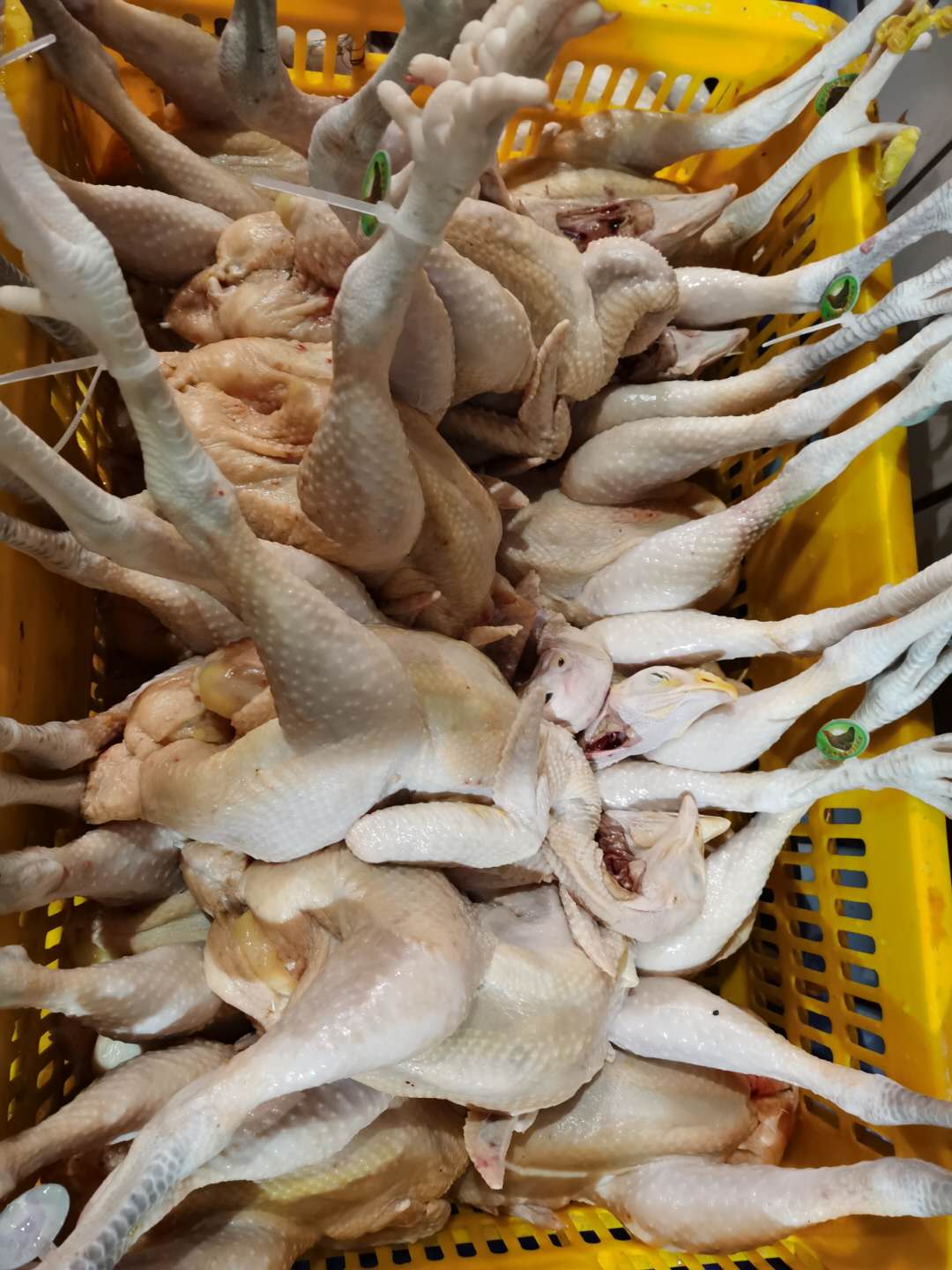 厚街食堂農副產品配送