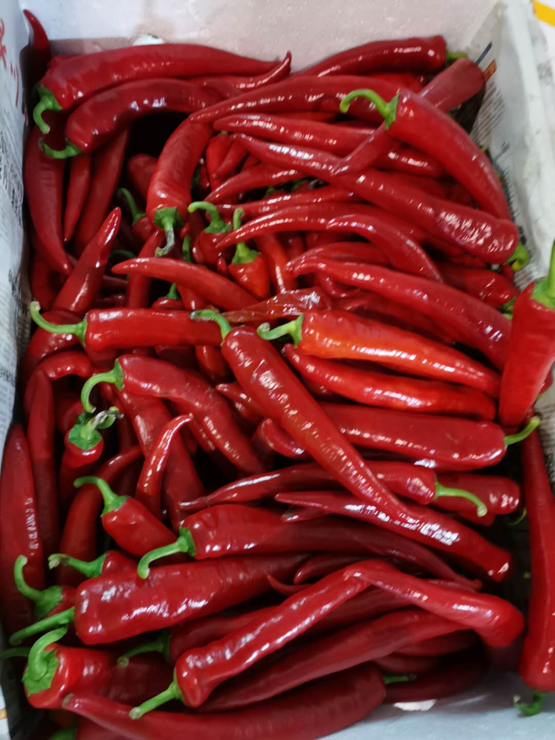 厚街橋頭食堂蔬菜配送商家 食材新鮮