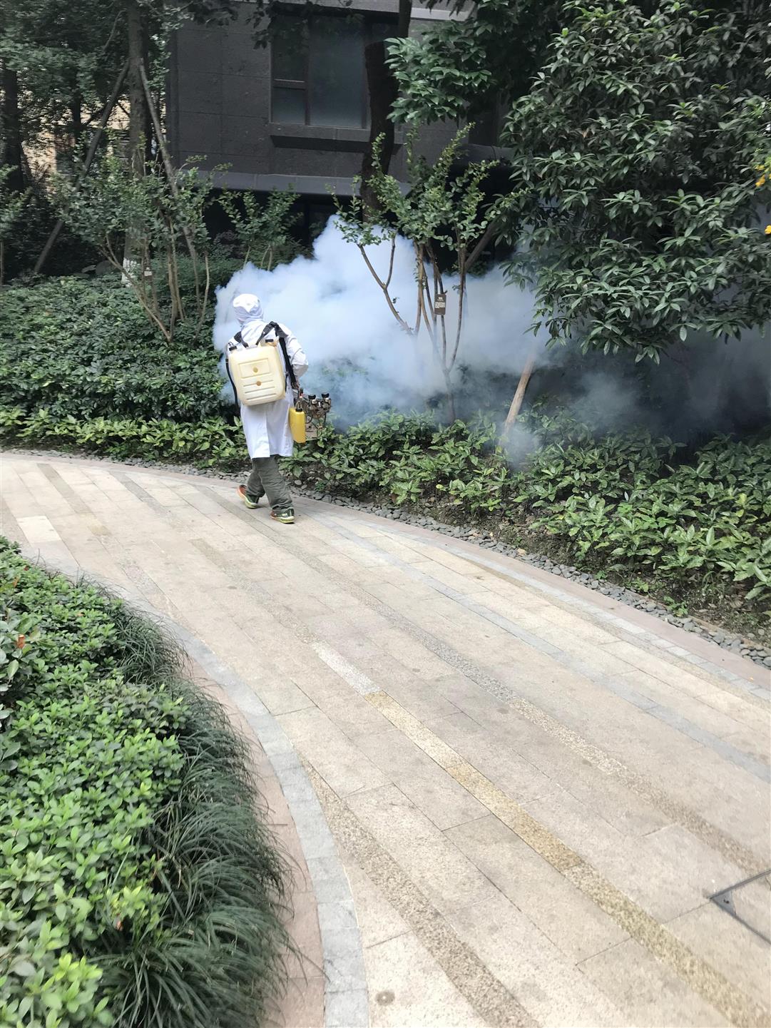四川射洪單位環境消毒那家好 超聲波霧化 空氣治理