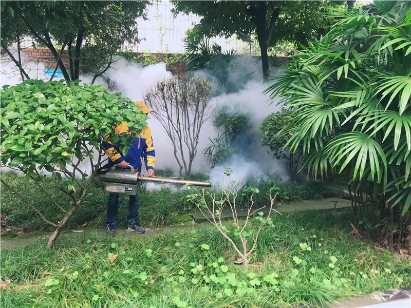 攀枝花食品厂灭蚊子