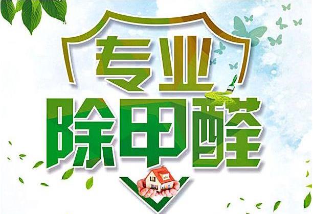 二七区植物除甲醛公司 郑州甲醛治理公司 本地公司上门