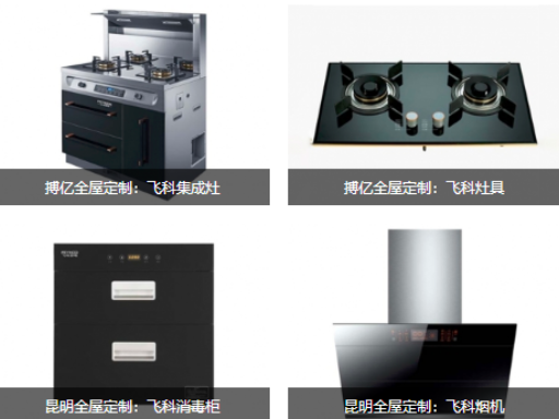 云南家居定制品牌搏藝定制背景墻 客戶至上 云南飛科家居供應