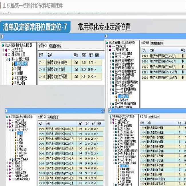 泰安山东福莱软件