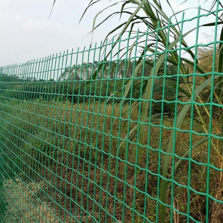 临清苗圃养殖荷兰网生产厂家