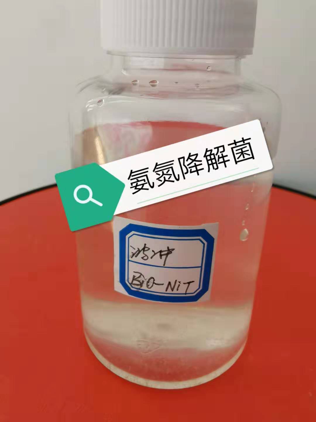 去除氨氮菌