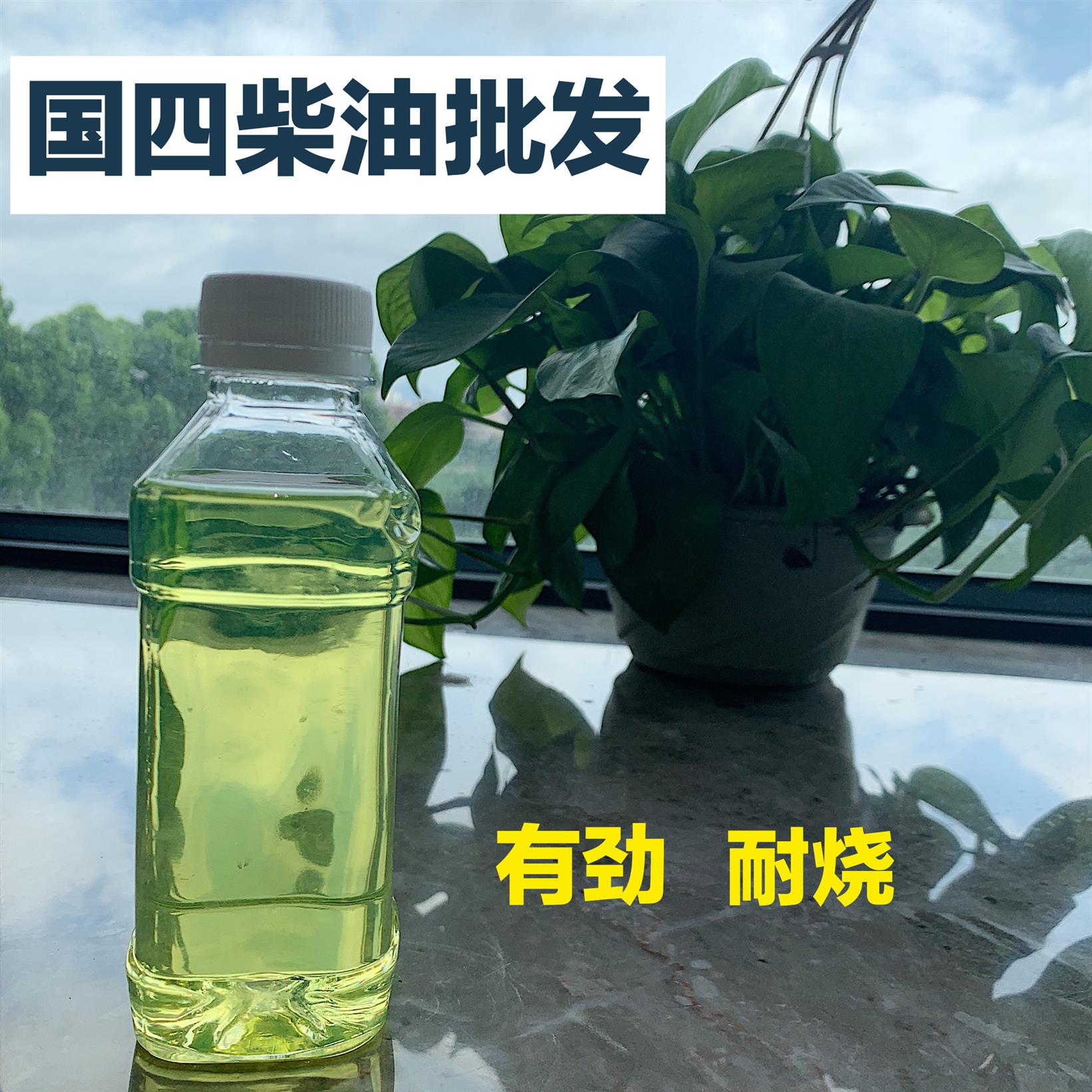 湖南批發-韶關國五
