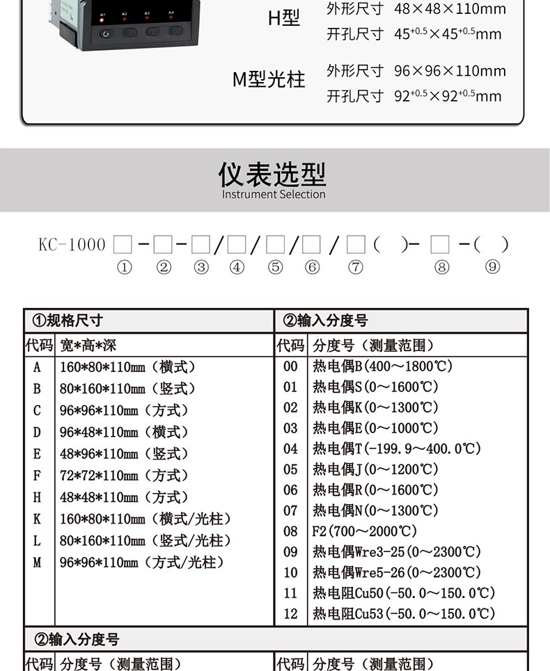 显示温度仪