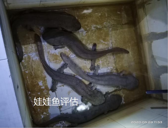 棗莊魚塘評估
