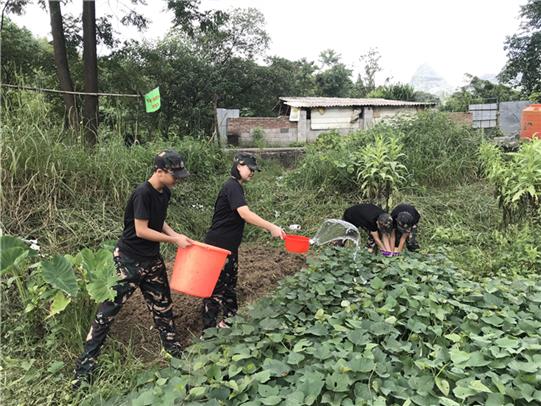 叛逆孩子全封閉咨詢地址-多年專注叛逆孩子教育