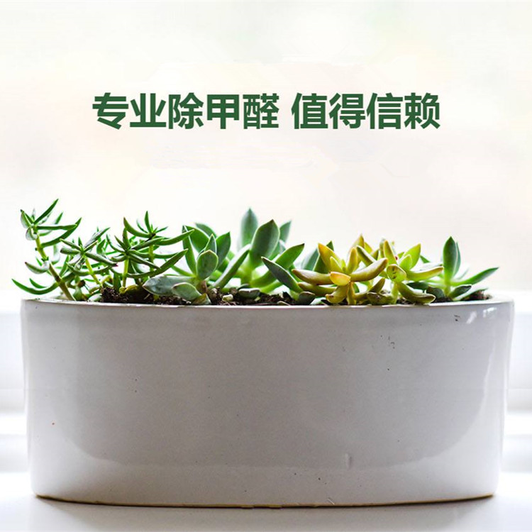 環保光觸媒除甲醛價格 可過CMA實驗室檢測