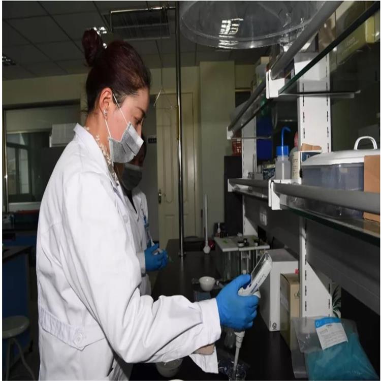 大分子藥物相互作用 消毒產品質量檢測 歡迎咨詢