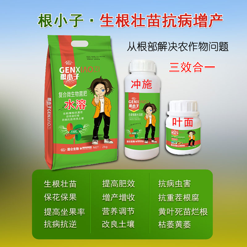 中藥材黨參打什么葉面肥好 根小子質(zhì)量保證