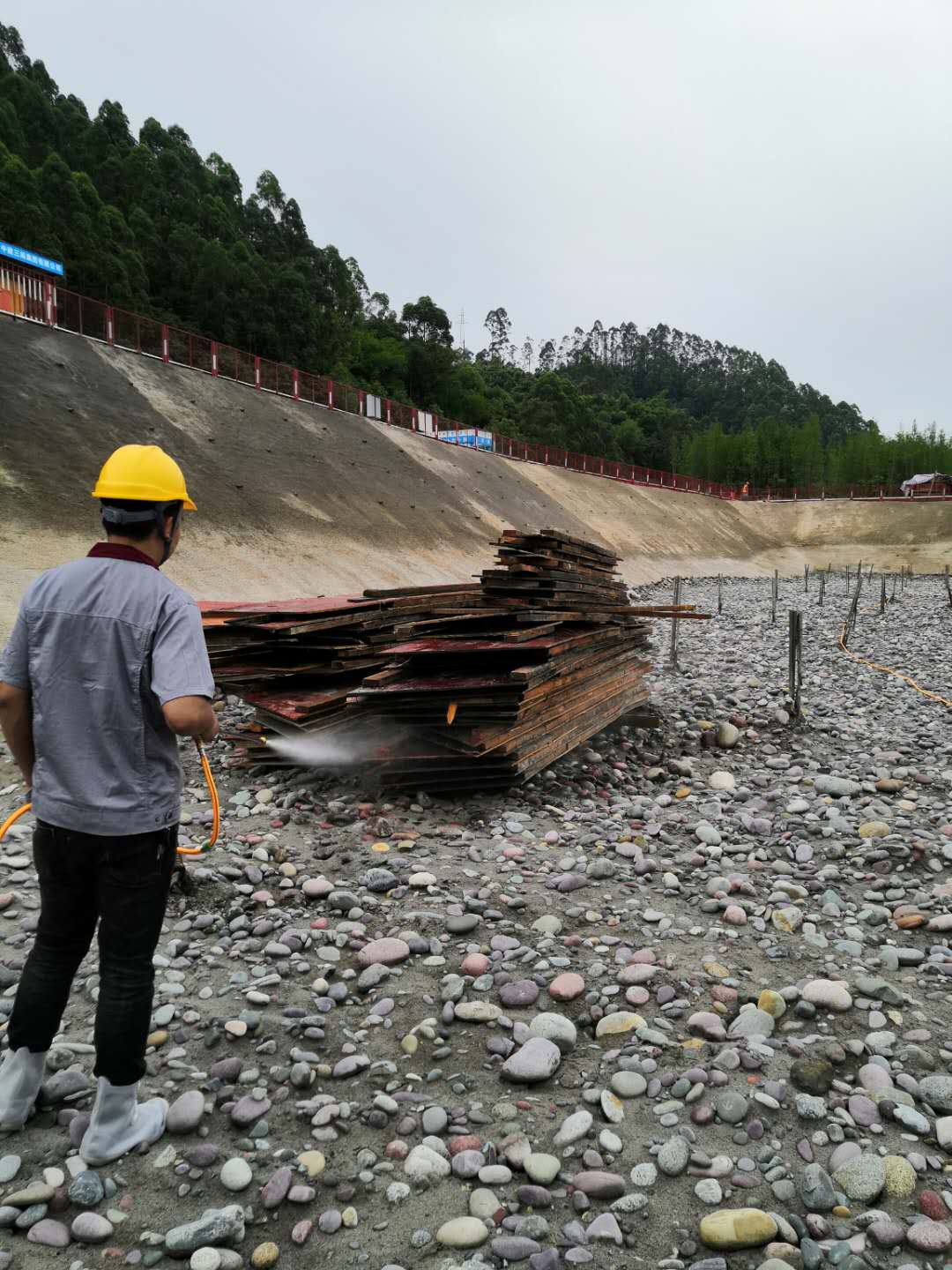 新都區大豐除四害公司 仁民有害生物防治